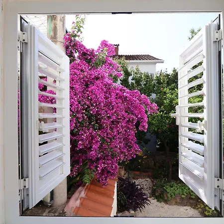 Nina * 마카르스카