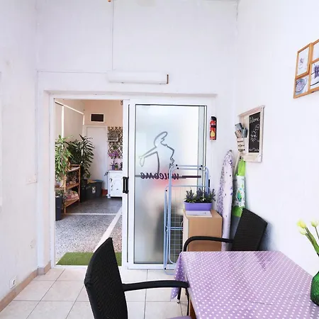 Nina * 마카르스카